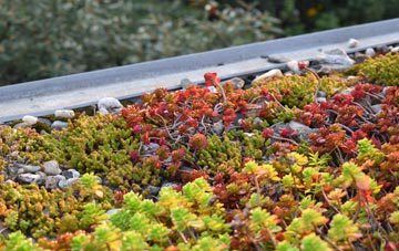 the cost of East Orchard green roof installation