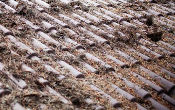 East Orchard roof cleaning companies