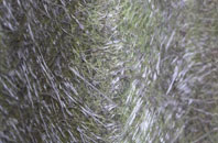 East Orchard fibreglass roof work